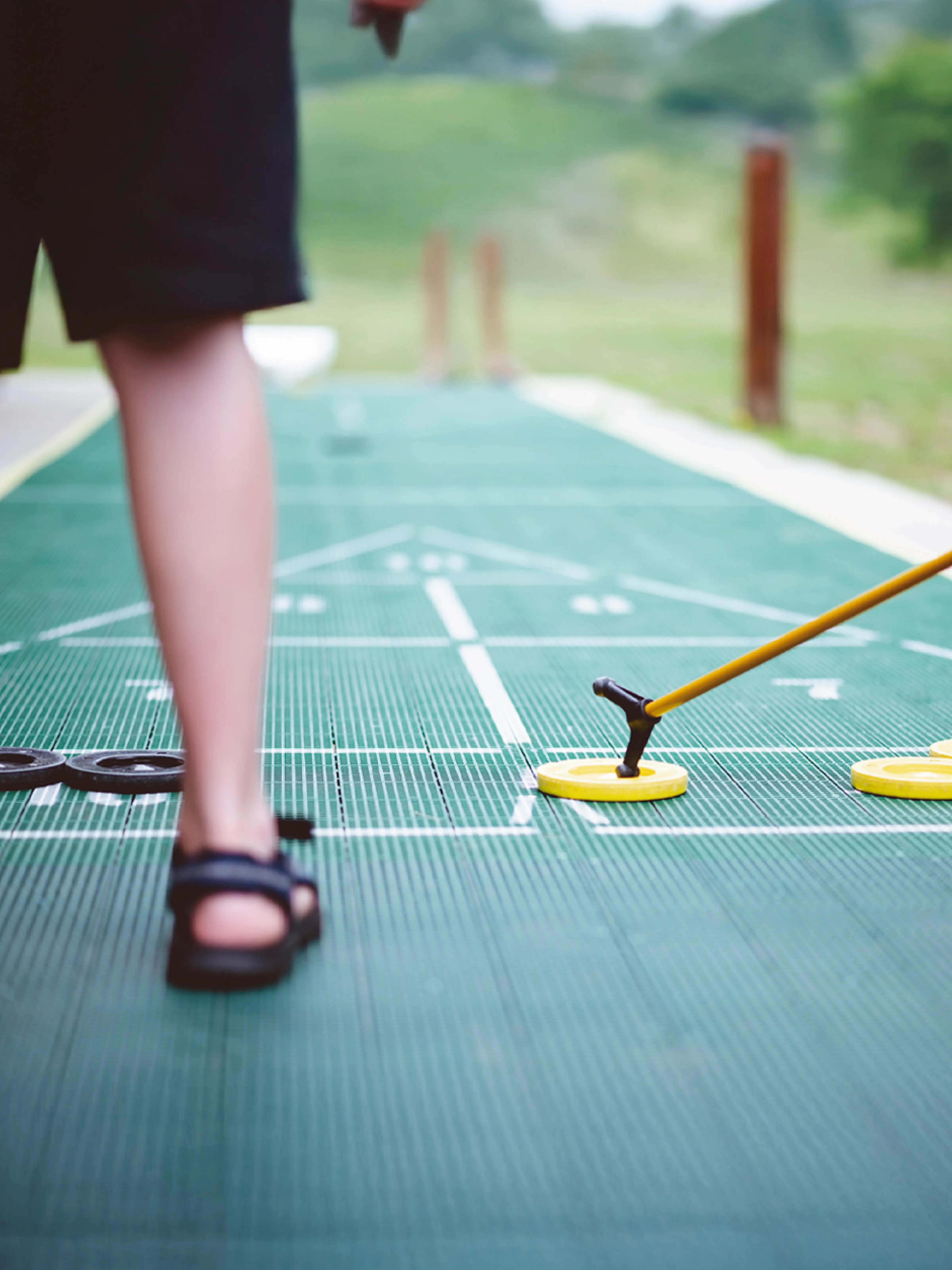 Shuffleboard